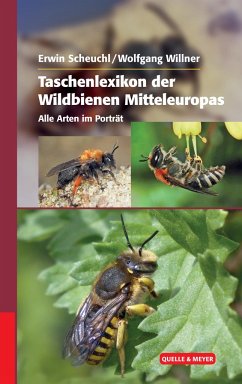 Taschenlexikon der Wildbienen Mitteleuropas - Scheuchl, Erwin;Willner, Wolfgang