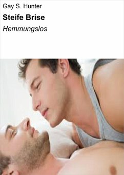 Cover Steife Brise (eBook, ePUB)