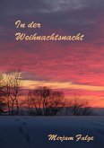 In der Weihnachtsnacht (eBook, ePUB)