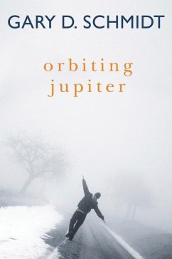 Orbiting Jupiter - Schmidt, Gary D