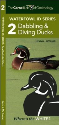 Cover Waterfowl Id Series: 2 Dabbling & Diving Ducks