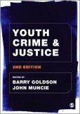 Youth Crime and Justice