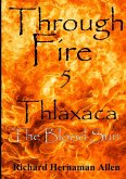 Through Fire 5