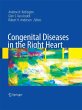 Congenital Diseases in the Right Heart - Bild 1