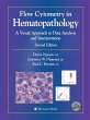 Flow Cytometry in Hematopathology - Bild 1
