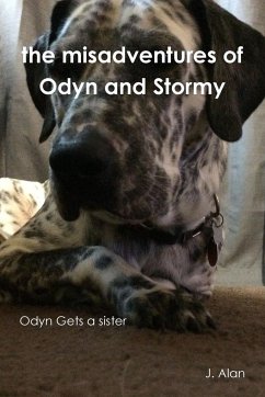 the misadventures of Odyn and Stormy - Alan, J.