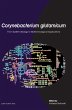 Corynebacterium Glutamicum - Bild 1