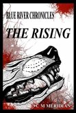 Rising (eBook, ePUB)