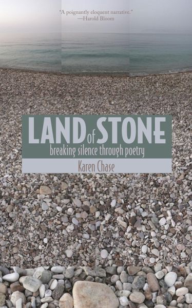 Land of Stone (eBook, ePUB)