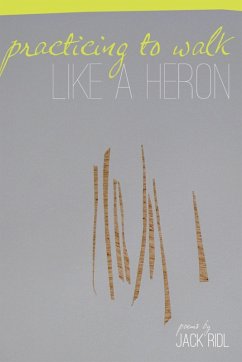 Cover Practicing to Walk Like a Heron (eBook, ePUB)