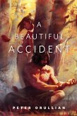 A Beautiful Accident (eBook, ePUB) A Beautiful Accident (eBook, ePUB)
