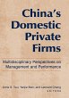 China's Domestic Private Firms: (eBook,... - Bild 1