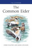 The Common Eider (eBook, ePUB)