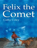 Felix the Comet (eBook, ePUB)