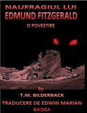 Naufragiul Lui Edmund Fitzgerald (eBook, ePUB)