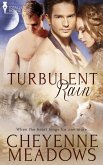 Turbulent Rain (eBook, ePUB)