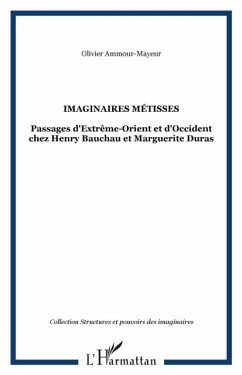 Cover Imaginaires metisses (eBook, PDF)