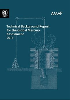 Technical Background Report for the Global Mercury Assessment 2013