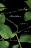 Making Callaloo in Detroit (eBook, ePUB)