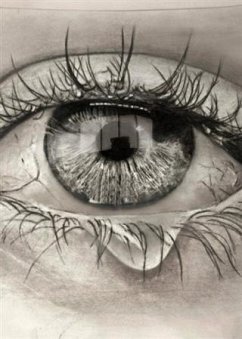 Cover El diario de Kiara (eBook, ePUB)