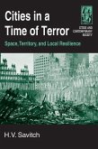 Cities in a Time of Terror: Space, Territory, and Local Resilience (eBook, ePUB)