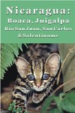 Nicaragua's Boaco, Chontales, Juigalpa, Rio San Juan & Solentiname (eBook, ePUB)
