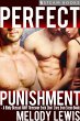 Perfect Punishment - A Kinky Bisexual... - Bild 1