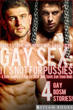 Cover Gay Sex: It's Not For Pussies - A Kinky Bundle of 4 Sexy Gay BDSM Short Stories from Steam Books (eBook, ePUB)