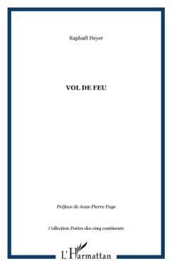 VOL DE FEU (eBook, PDF)