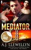 The Mediator (eBook, ePUB)