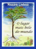 O lugar mais belo do mundo (eBook, ePUB)