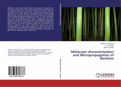 Molecular characterization and Micropropagation of Bamboo