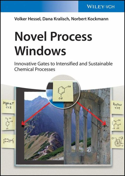 Novel Process Windows (eBook, ePUB)