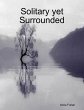 Solitary Yet Surrounded (eBook, ePUB) - Bild 1