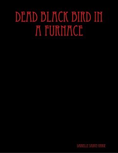 Dead Black Bird In a Furnace (eBook, ePUB) - Sainte-Marie, Danielle