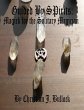 Guided By Spirits: Magick for the... - Bild 1