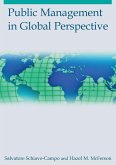 Public Management in Global Perspective (eBook, ePUB)