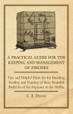 A Practical Guide for the Keeping and Management of Finches - Tips and Helpful Hints for the Breeding, Feeding and Training of These Beautiful Birds (eBook, ePUB)