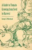 A Guide to Tomato Growing from Seed to Harvest (eBook, ePUB)