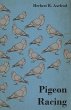 Pigeon Racing (eBook, ePUB) - Bild 1
