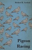 Pigeon Racing (eBook, ePUB) Pigeon Racing (eBook, ePUB)