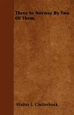 Three in Norway by Two of Them. (eBook, ePUB)