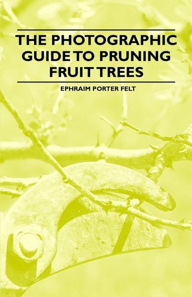 The Photographic Guide to Pruning Fruit Trees (eBook, ePUB) The Photographic Guide to Pruning Fruit Trees (eBook, ePUB)