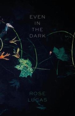 Cover Even in the Dark (eBook, ePUB)