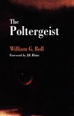 Poltergeist (eBook, ePUB)