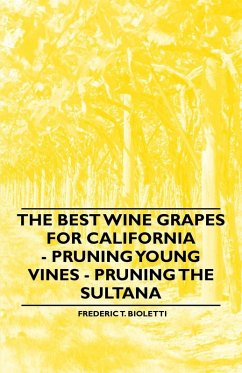 The Best Wine Grapes for California - Pruning Young Vines - Pruning the Sultana (eBook, ePUB) - Bioletti, Frederic T.