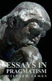Essays in Pragmatism (eBook, ePUB)