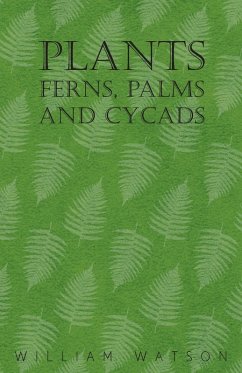 Plants - Ferns, Palms and Cycads (eBook, ePUB) - Watson, William