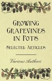 Growing Grapevines in Pots - Selected Articles (eBook, ePUB)