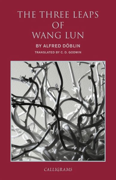 The Three Leaps of Wang Lun (eBook, ePUB) The Three Leaps of Wang Lun (eBook, ePUB)